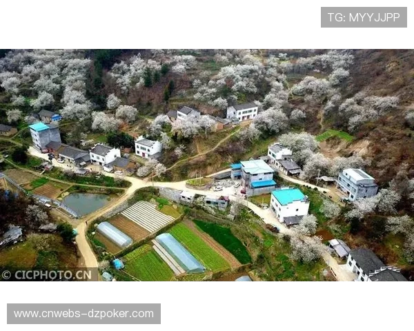 垒球棒球扶贫手工作坊覆盖湖北十堰23个村，实现村村有产业